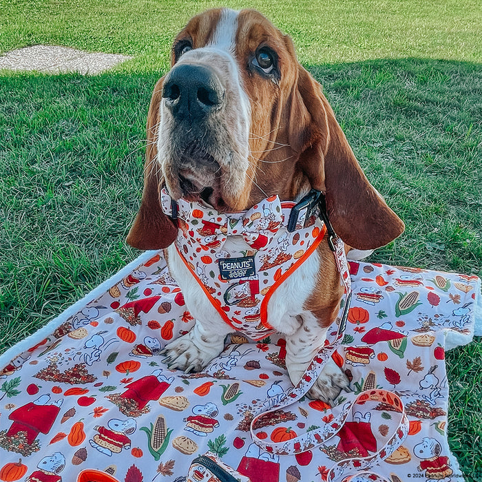 INFLUENCER_CONTENT | @IMCHUCKBASSET