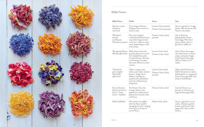 Preserving the Seasons by Holly Capelle