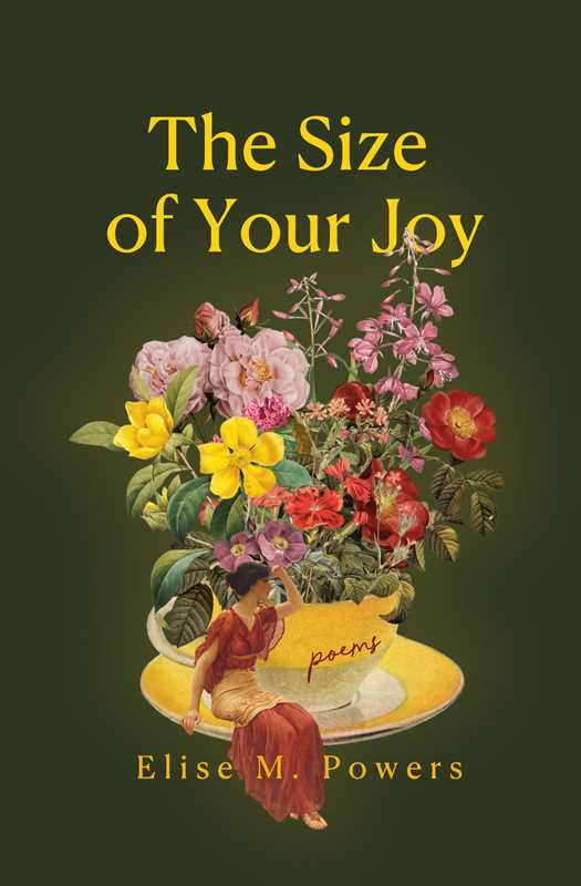 The Size of Your Joy by Elise Powers