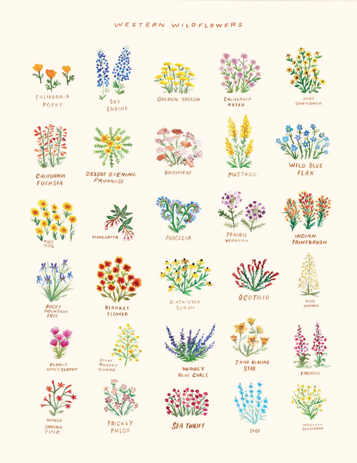 Western Wildflowers Print 11x14 by Little Salt Wagon
